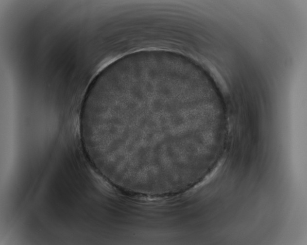 X0000087321505200705112126