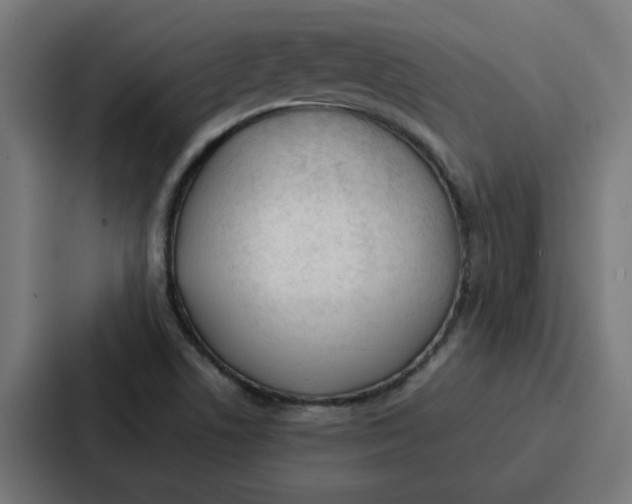 X0000087321506200705112126