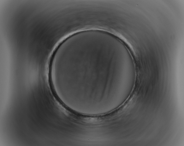 X0000087321508200705112126