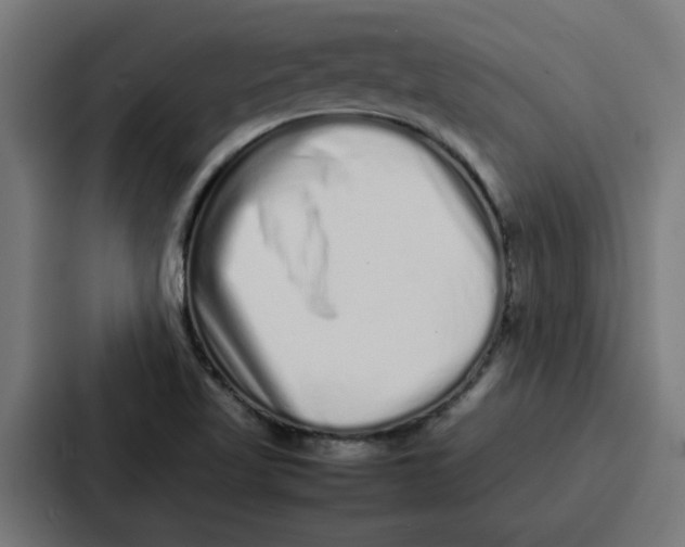 X0000087321509200705112126