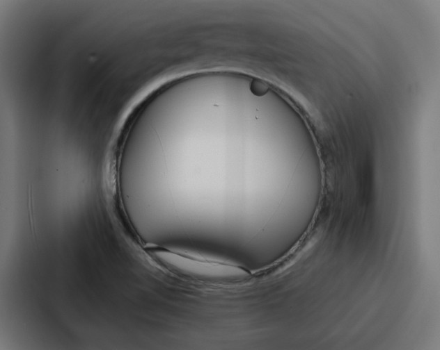 X0000087321510200705112126