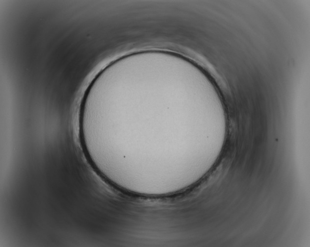 X0000087321512200705112126