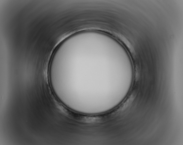 X0000087321513200705112126