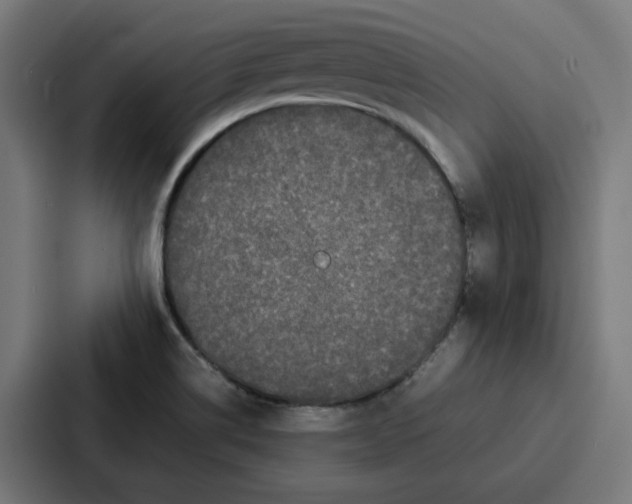 X0000087321514200705112126