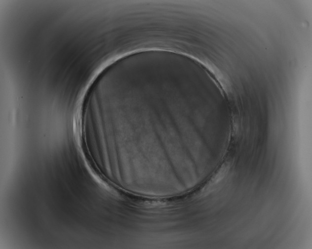 X0000087321515200705112126