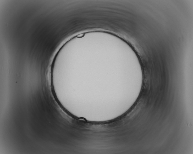 X0000087321516200705112126