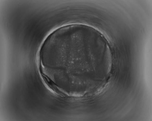 X0000087321519200705112126