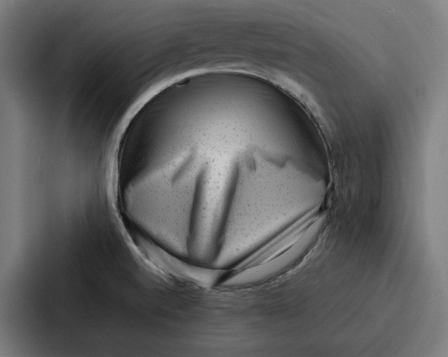 X0000087321520200705112126