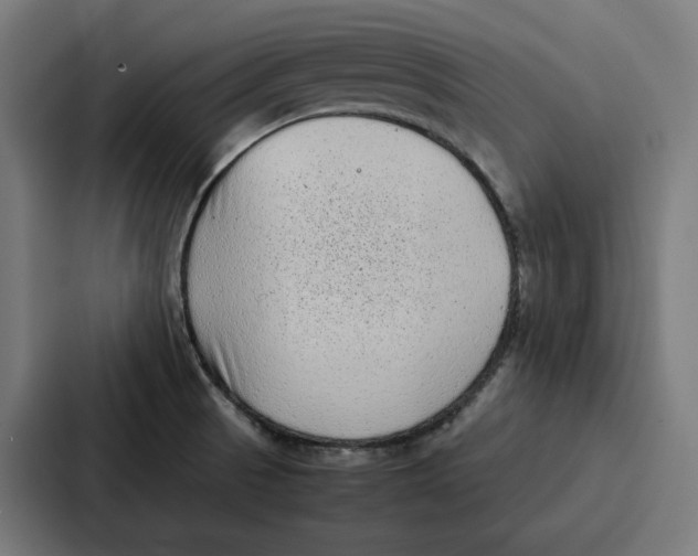 X0000087321521200705112126