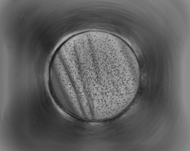 X0000087321523200705112126