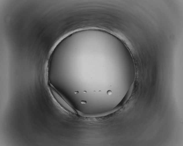 X0000087321524200705112127