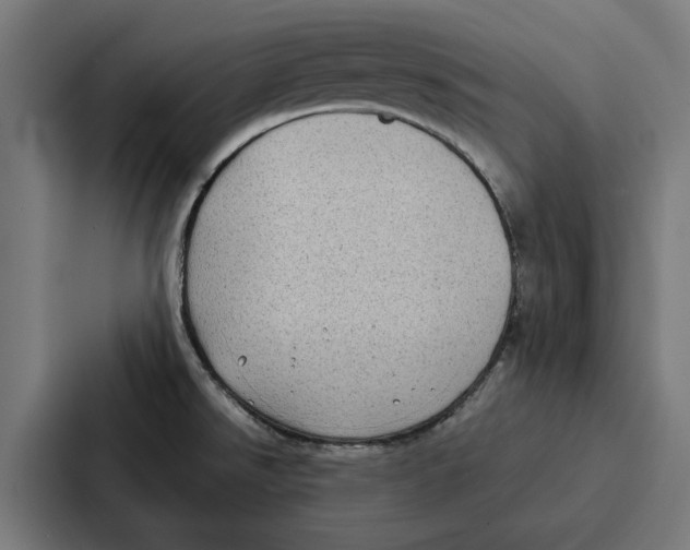 X0000087321526200705112127