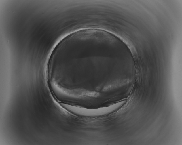 X0000087321527200705112127