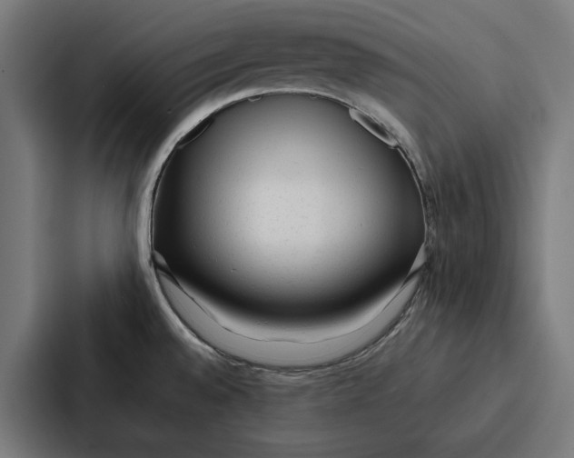 X0000087321528200705112127