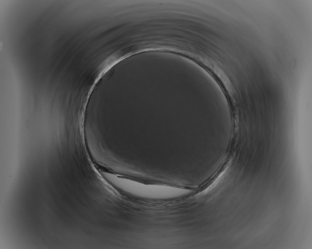 X0000087321529200705112127