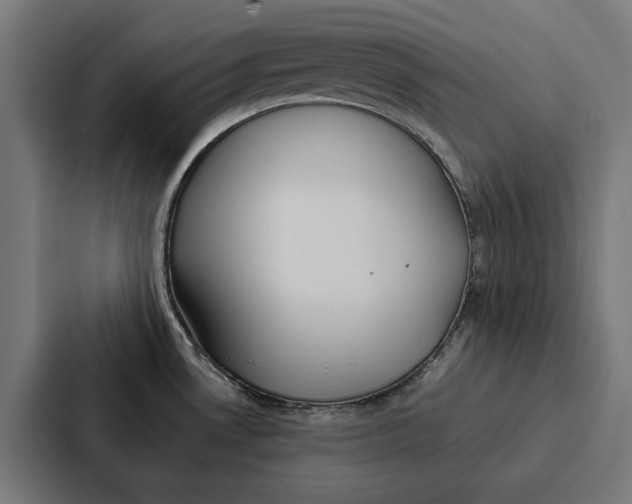 X0000087321530200705112127