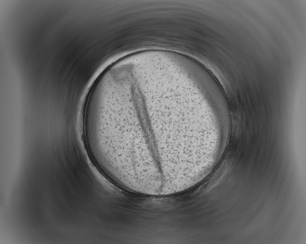 X0000087321531200705112127