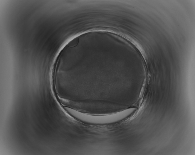 X0000087321533200705112127