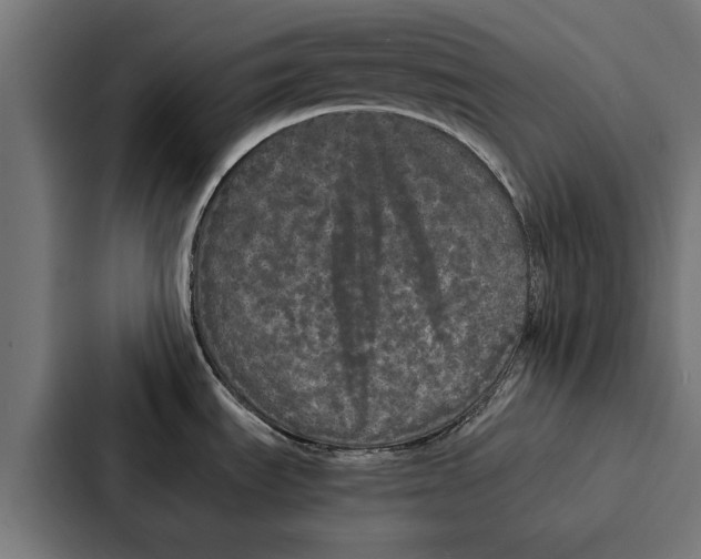 X0000087321535200705112127