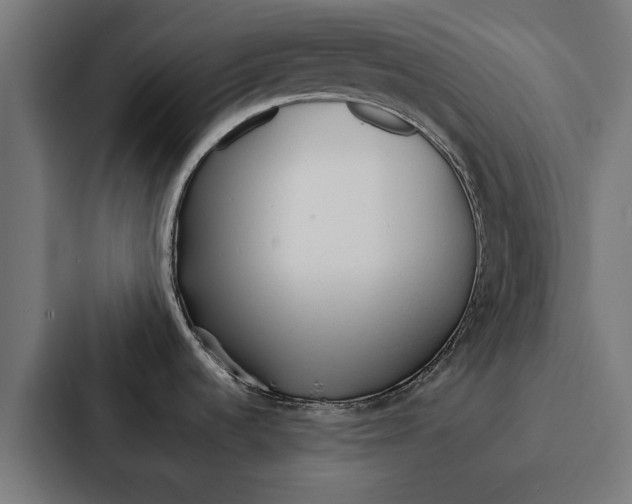 X0000087321536200705112127