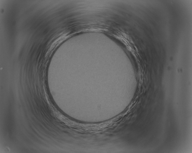 X0000087320001200705181023