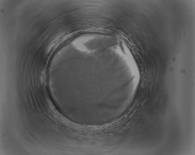 X0000087320002200705181023