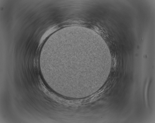 X0000087320004200705181023