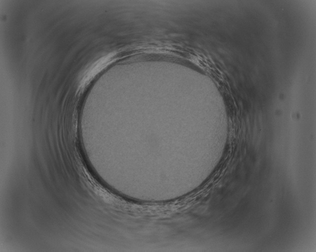 X0000087320005200705181023