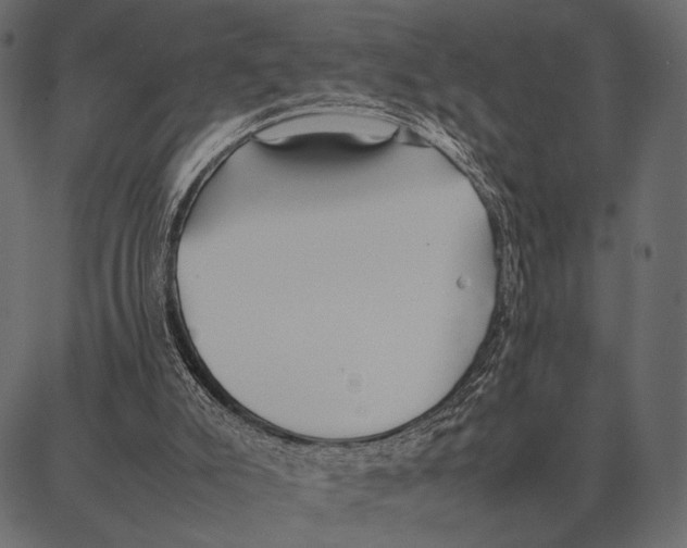 X0000087320007200705181022