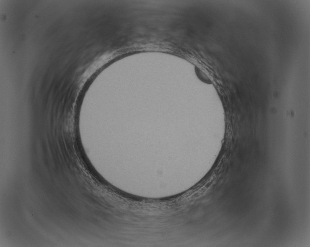 X0000087320008200705181022