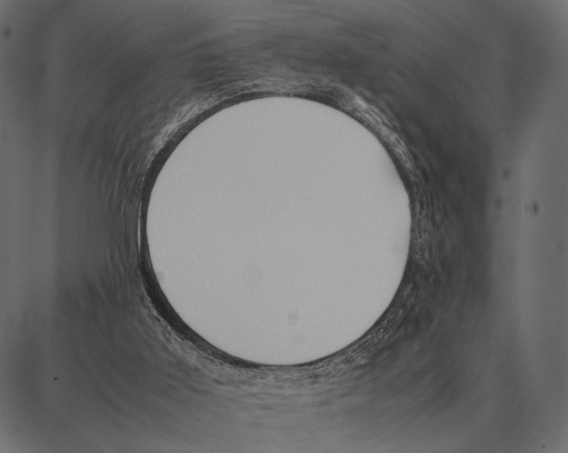 X0000087320011200705181022