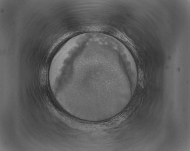 X0000087320012200705181022