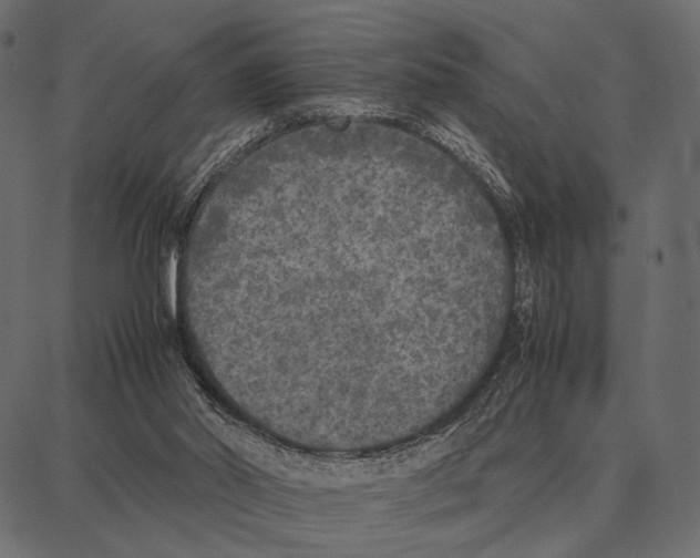 X0000087320014200705181022