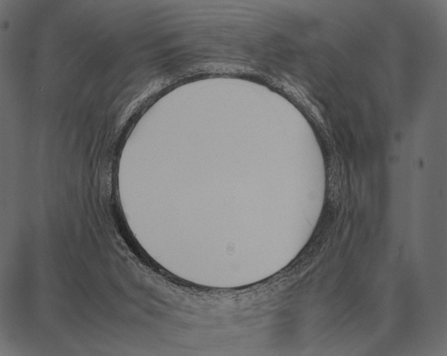 X0000087320015200705181022