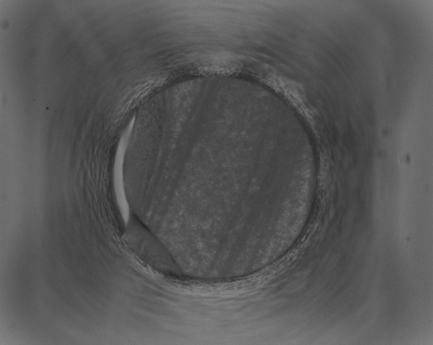 X0000087320017200705181022