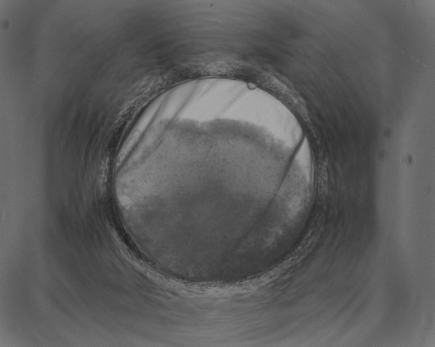 X0000087320018200705181022