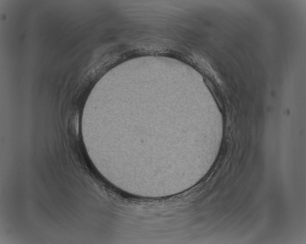 X0000087320021200705181022