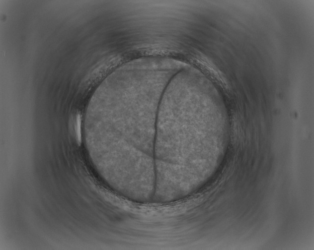 X0000087320022200705181022