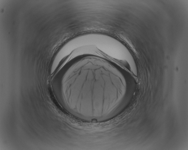 X0000087320023200705181022