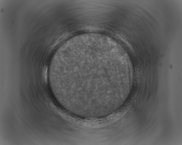 X0000087320024200705181022