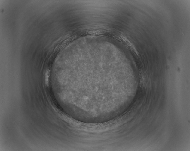 X0000087320026200705181022