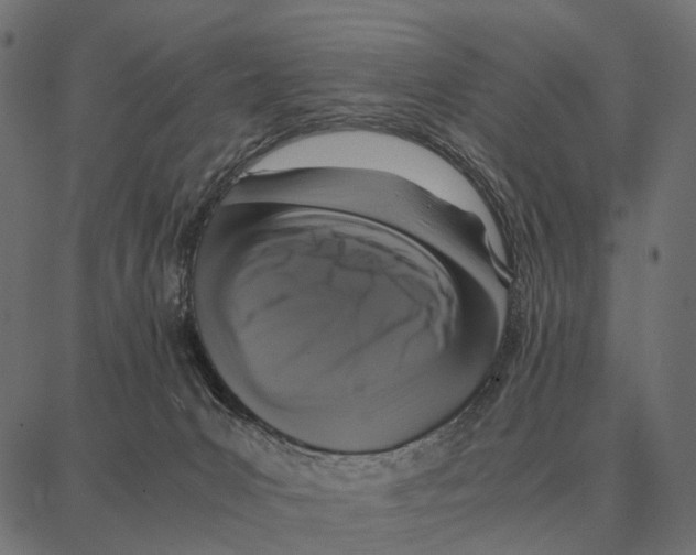 X0000087320031200705181022