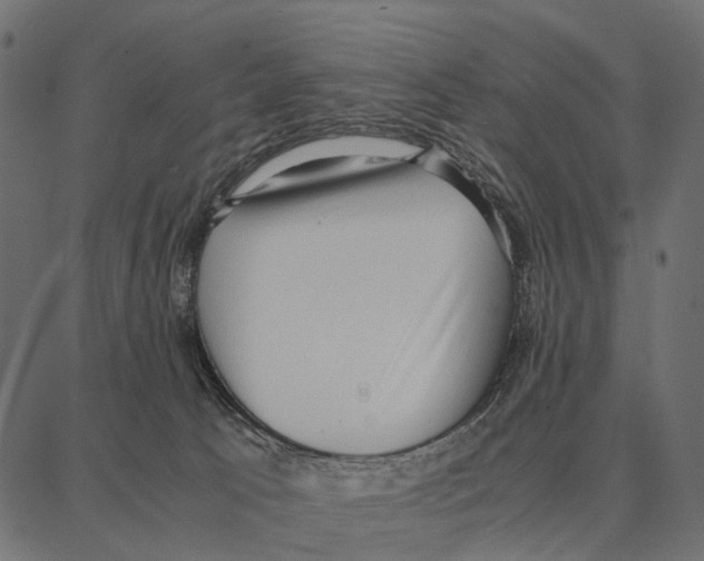 X0000087320033200705181022