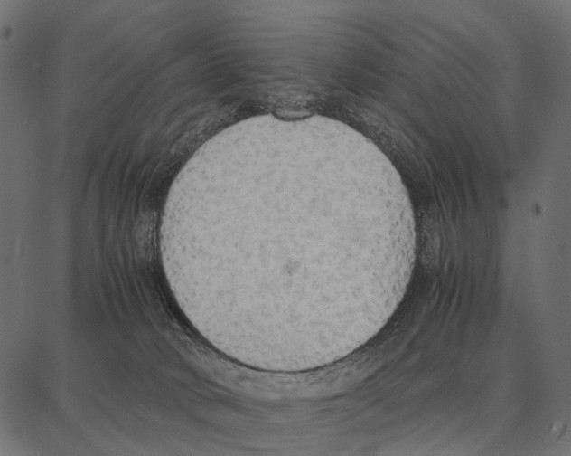 X0000087320034200705181022