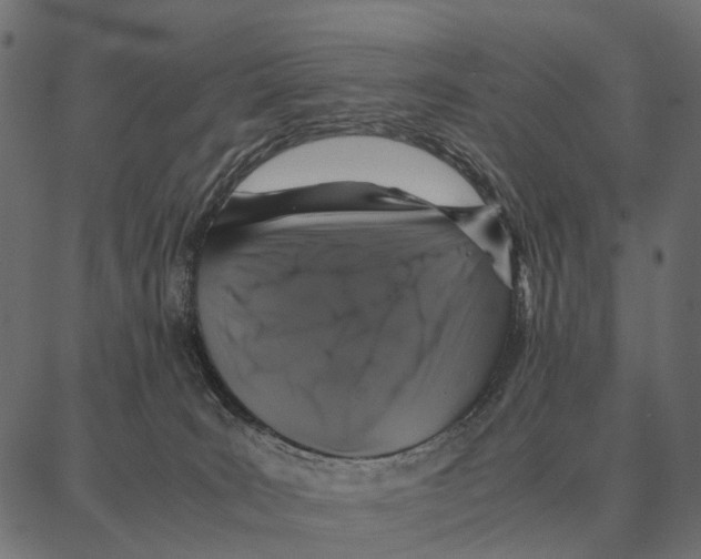 X0000087320035200705181022