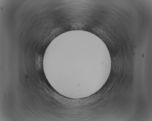 X0000087320038200705181022