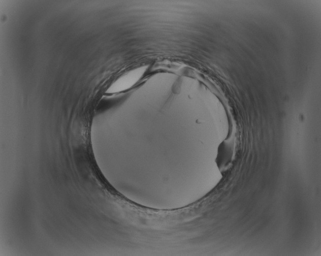 X0000087320039200705181022