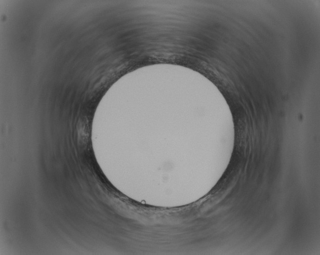 X0000087320040200705181022