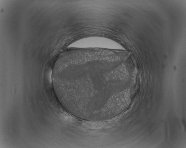 X0000087320041200705181022