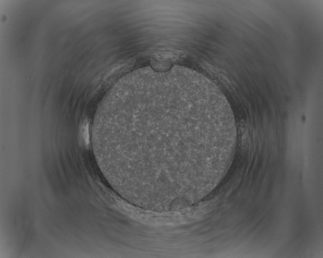 X0000087320042200705181022